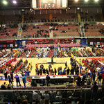 BEAR WOOL VOLLEY 2015