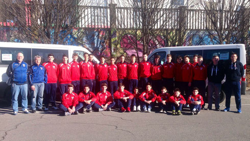 BEAR WOOL VOLLEY 2015