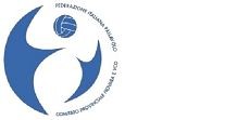 logo federazione pallavolo comitato Novara e VCO